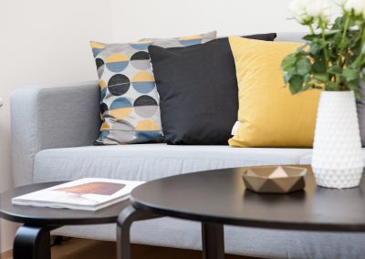 Upholstery Cleaning